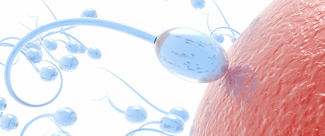 Qué es el Método Billings Qué es el Método Billings