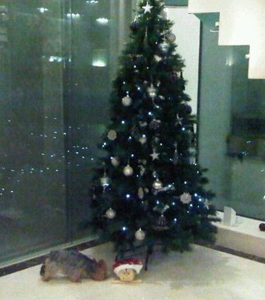 Árbol de Navidad de Cesc Fábregas