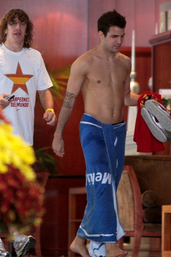 cesc y puyol