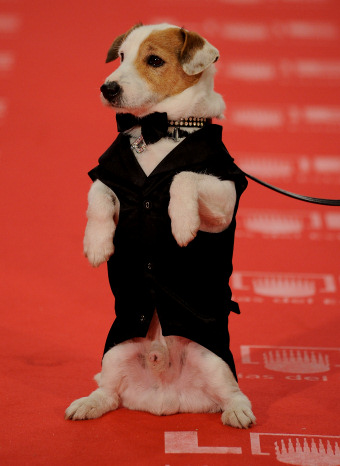 Pancho en la alfombra roja de los Goya 2011