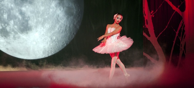 fotograma cisne negro