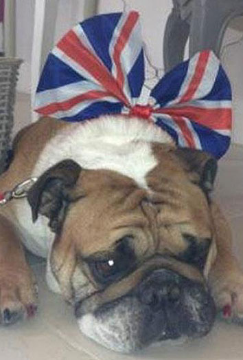 Isabel II, eclipsada en su jubileo por su marido, Kate Middleton y el perro de los Beckham