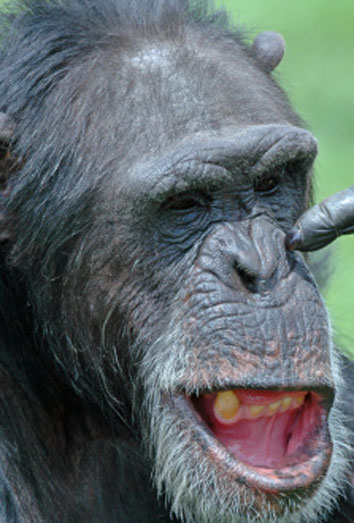 los inventos más absurdos