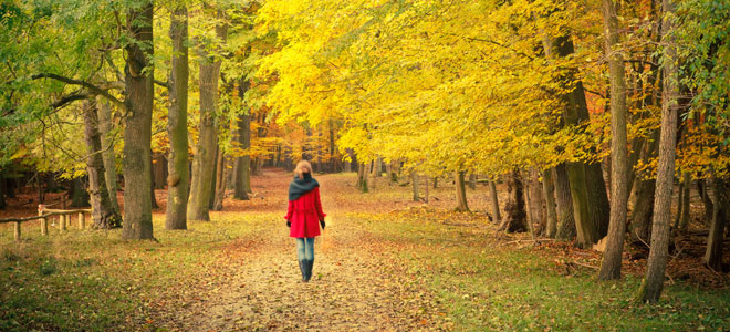 Típicas enfermedades de otoño