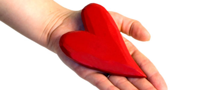 Donantes de órganos