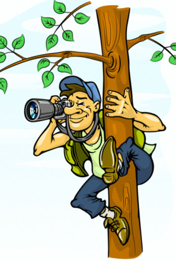 Justin Bieber, paparazzi, obsesión mortal