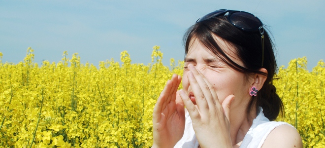 Enfermedades de primavera Enfermedades de primavera