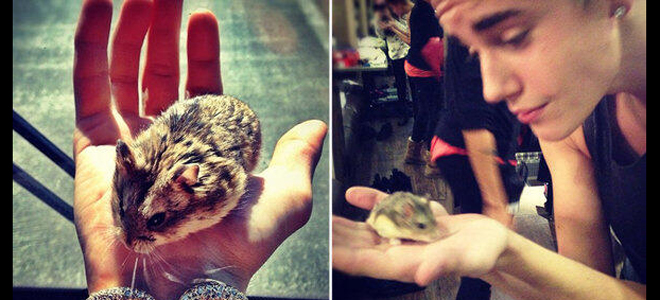 Justin Bieber despide a su hamster Pac