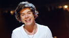 Las partes íntimas de Harry Styles de One Direction: diana de sus fans