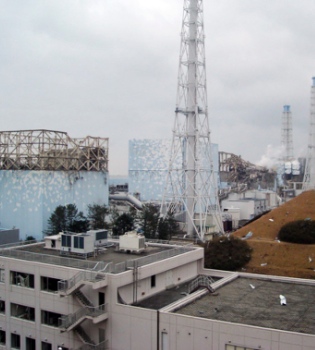 Se han encontrado niveles de radiación en los alimentos de Japón