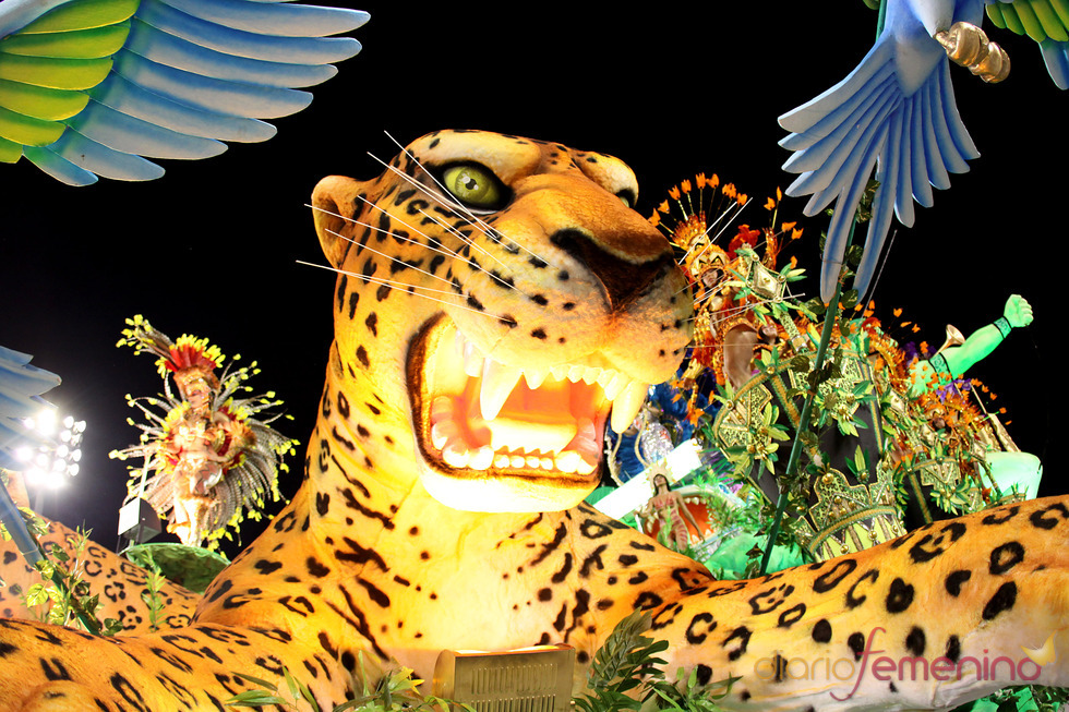 Carnaval Brasil 2010: Escuela Unidos do peruche, atigrada