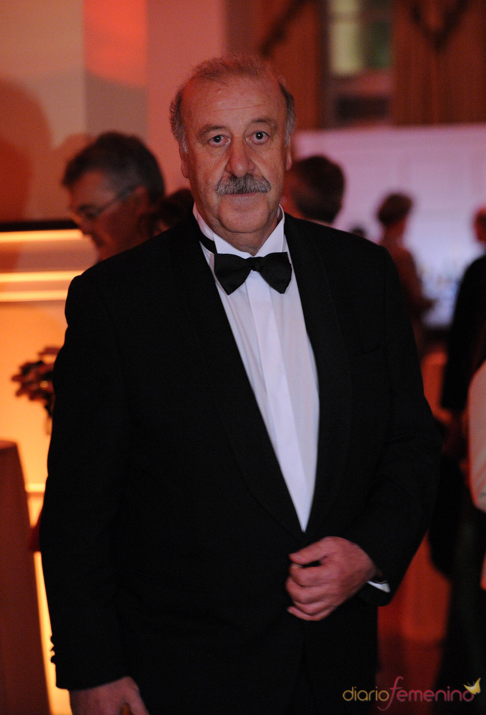 Vicente del Bosque, seleccionador de 'la roja'