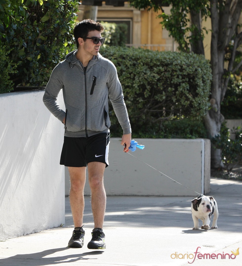 Joe Jonas con su mascota