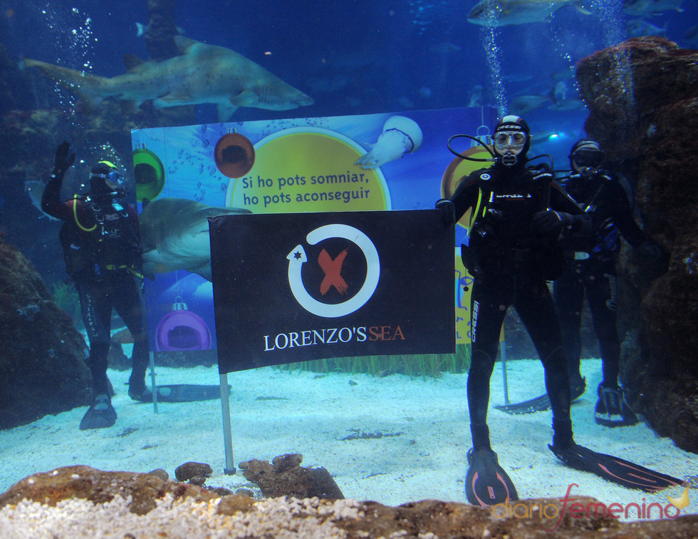 Jorge Lorenzo se despide del 2010 entre tiburones