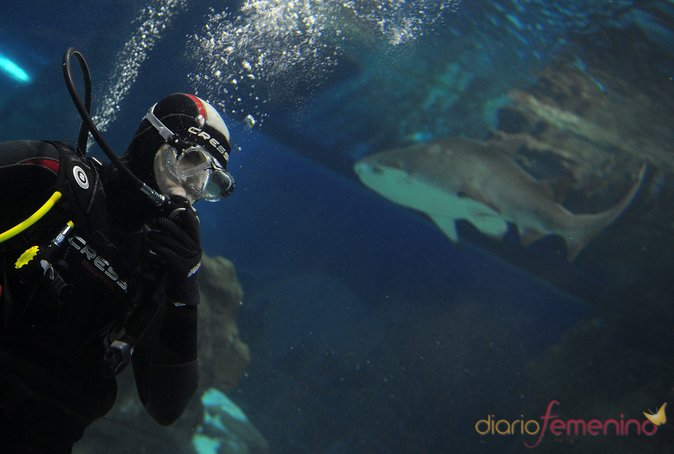 Jorge Lorenzo nos desea un feliz 2011 entre tiburones