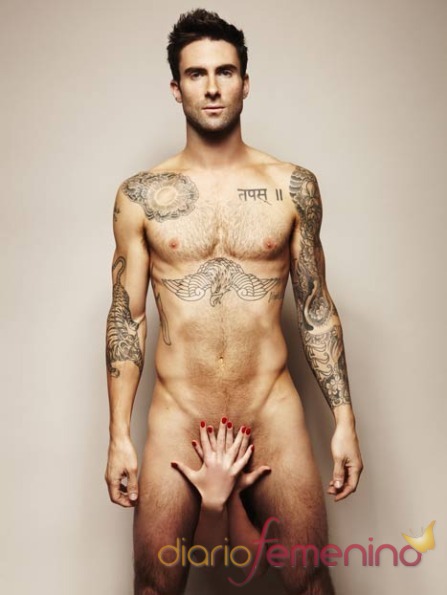 Adam Levine, vocalista de los Maroon 5, desnudo por una buena causa