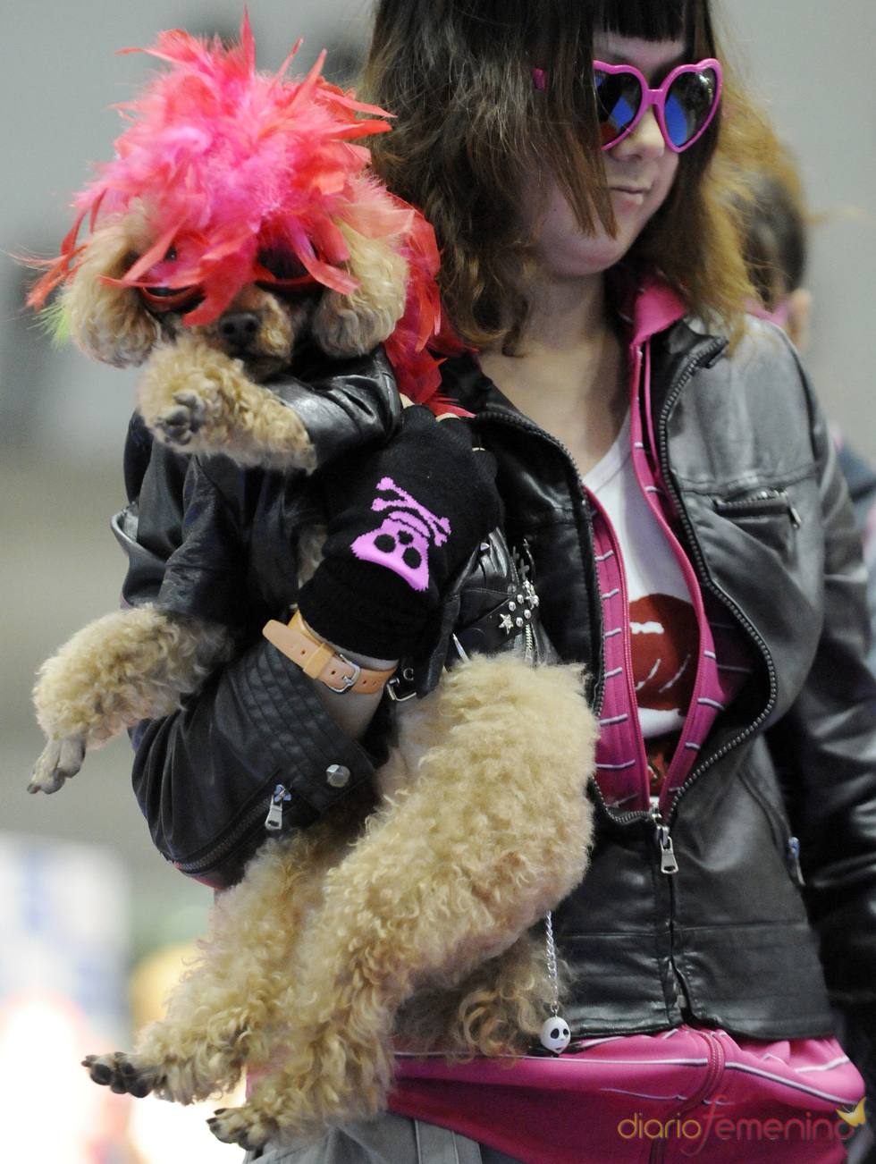 Perros rockeros en Tokio