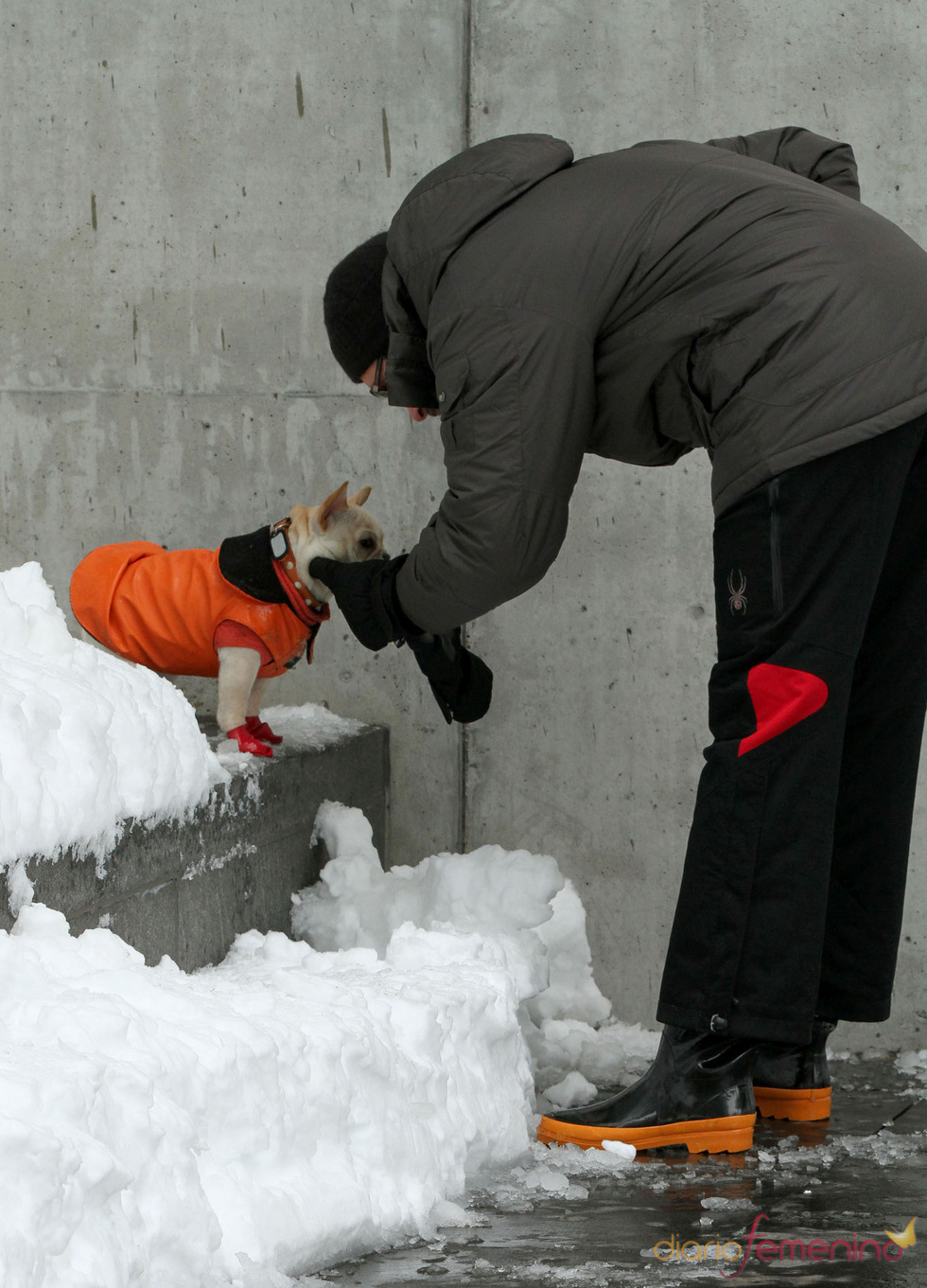 Hugh Jackman rescata a su perrito de la nieve de Nueva York