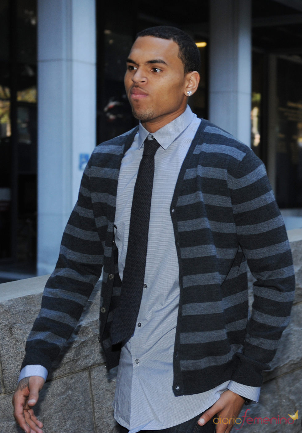 El cantante Chris Brown