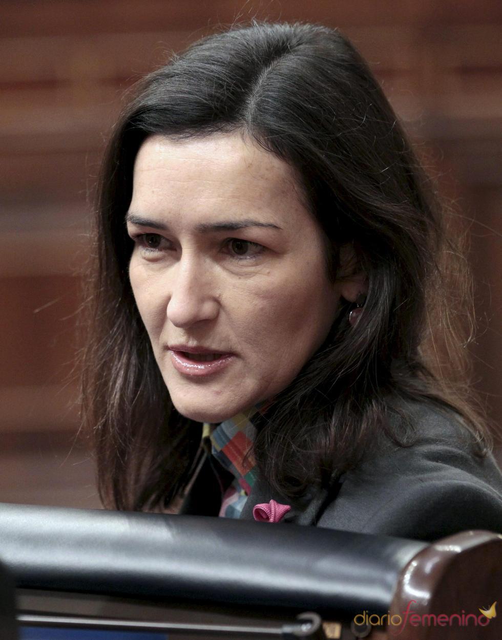 Ángeles González-Sinde confirma su presencia en los Goya 2011