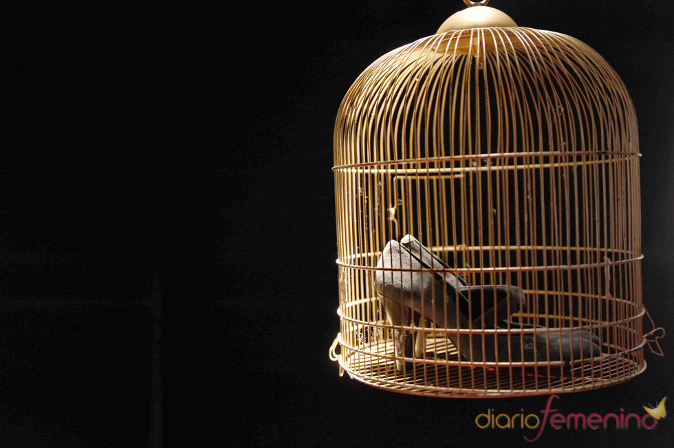 Zapatos en cine por el 25 aniversario de los premios Goya