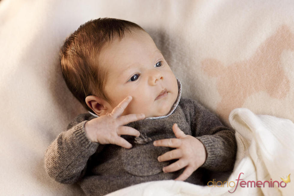 Hijo melliza de Mary Donaldson y Federico de Dinamarca