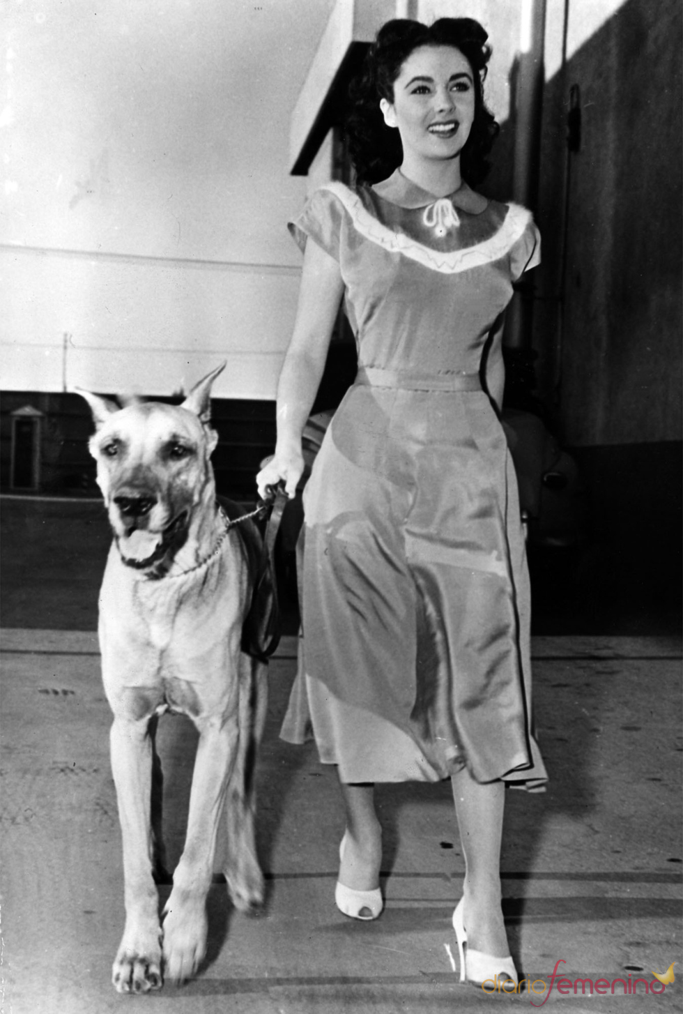 Elisabeth Taylor en 1948