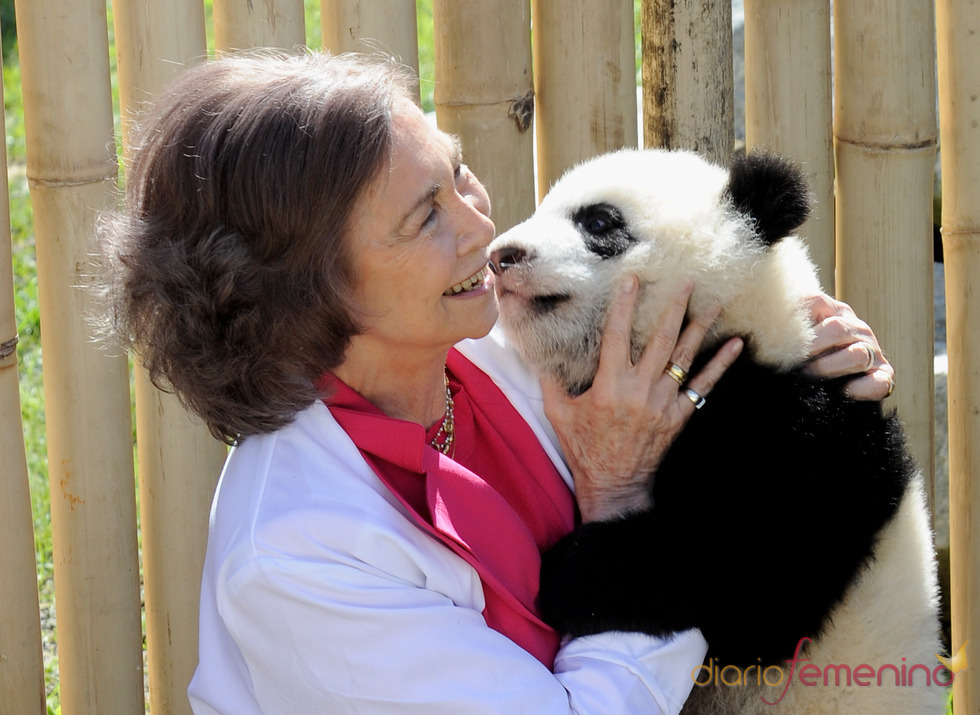 La Reina Sofía acaricia a un oso panda