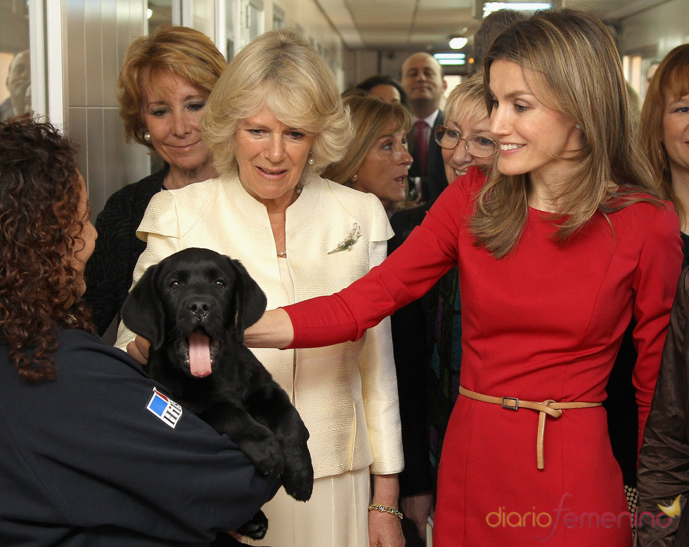 La Princesa de Asturias y la Duquesa de Cornualles en la Fundación ONCE