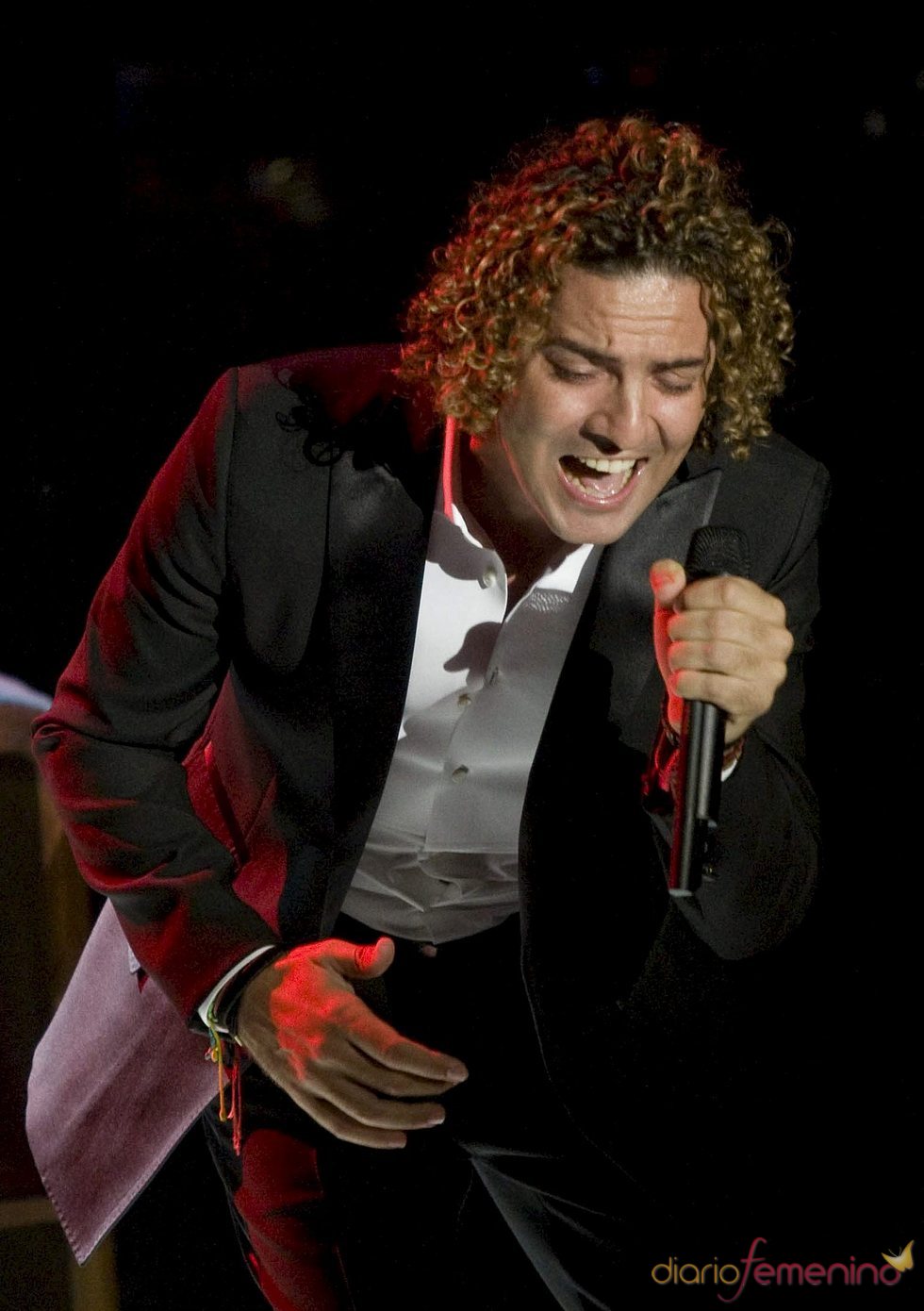 Concierto de David Bisbal en Almería