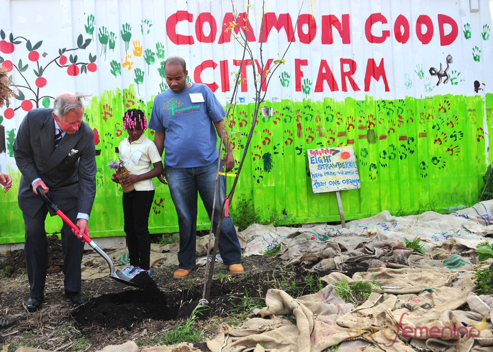 Carlos de Inglaterra planta un árbol durante su visita a EE.UU.