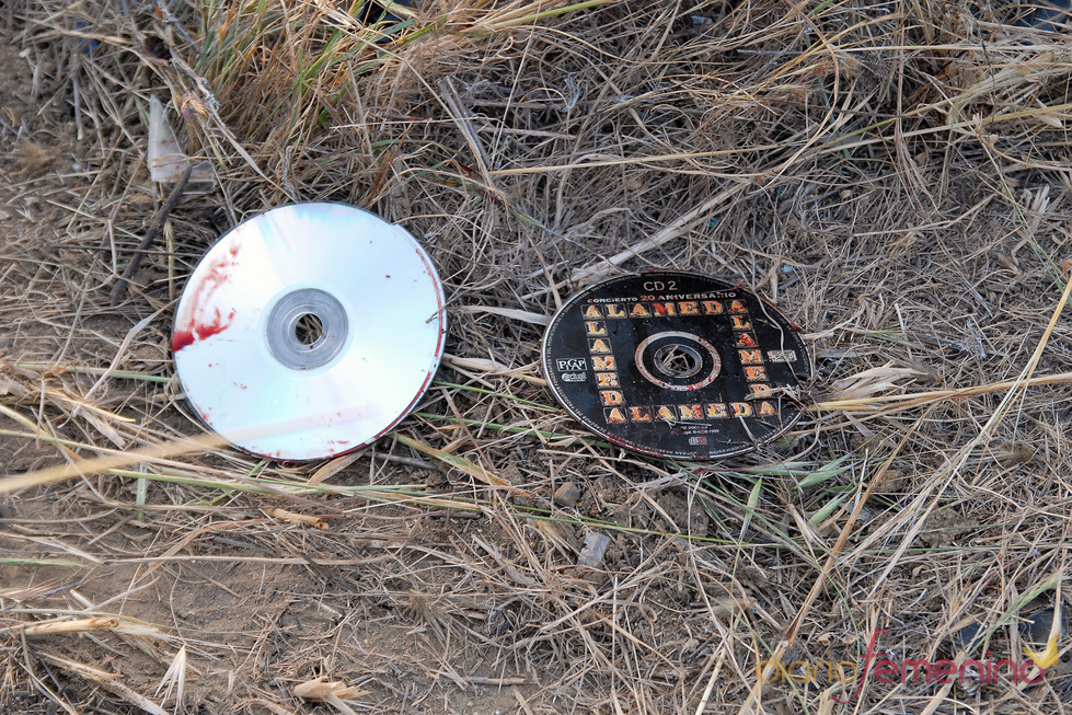 Discos del coche de Ortega Cano cubiertos de sangre