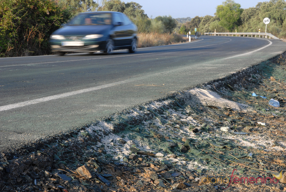 Marcas dejadas por el coche de Ortega Cano en el lugar del accidente