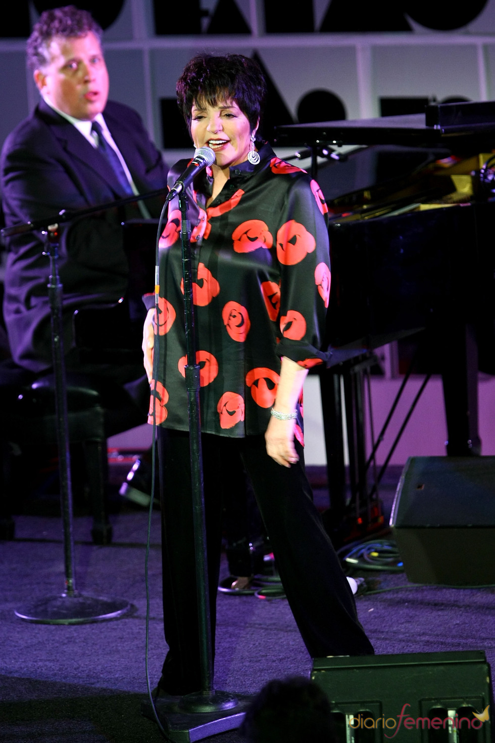 Liza Minnelli durante su actuación en la Gala amfAR 2011