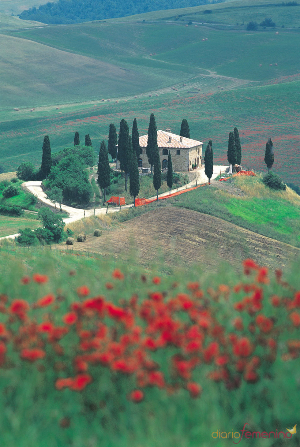 Paisaje rural de la Toscana