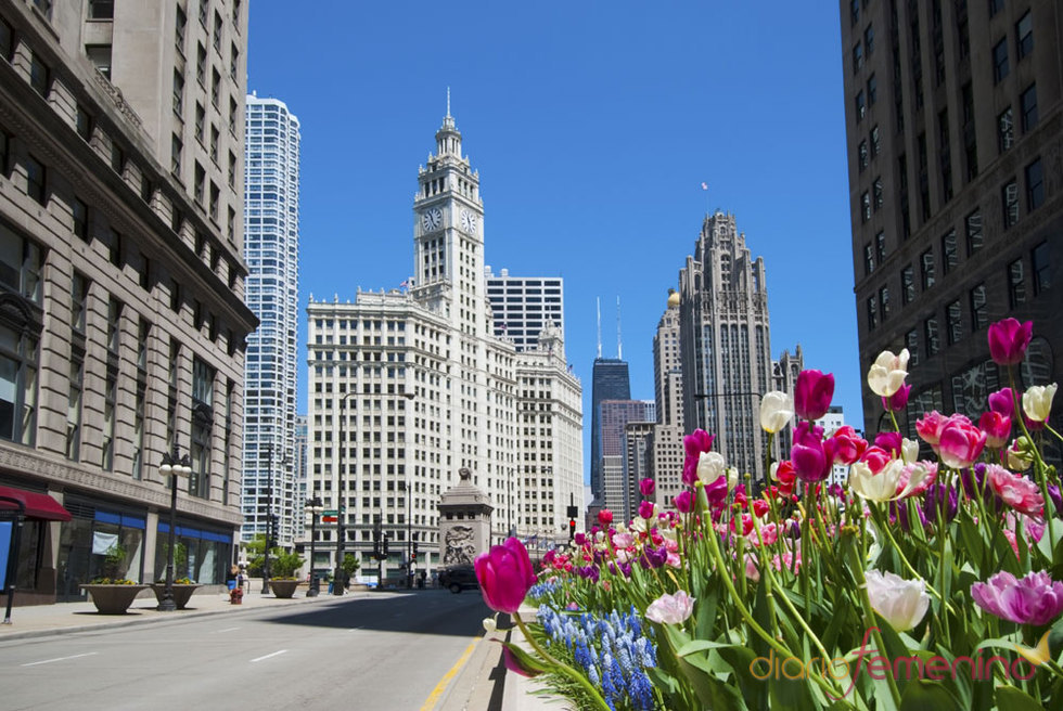 Edificio Wrigley en Chicago