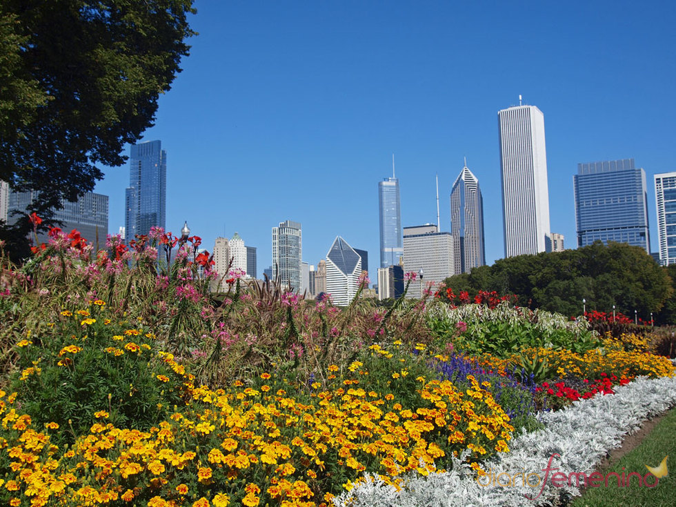 Chicago es una 'ciudad jardín'