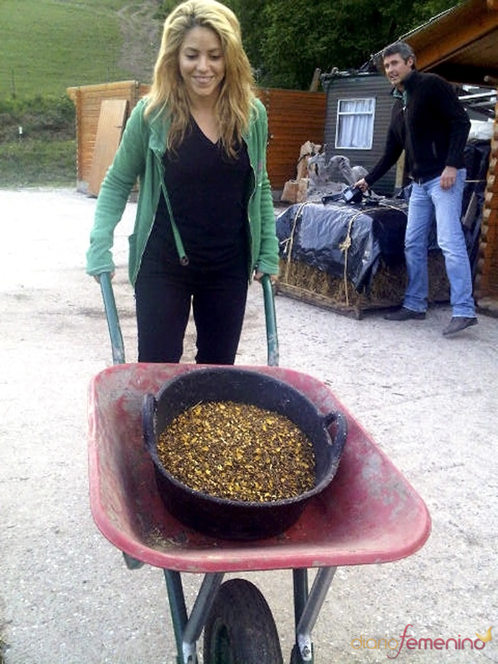 Shakira, de incógnito en Gerona