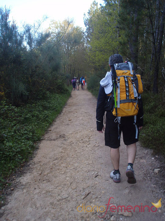 El equipaje adecuado para hacer el Camino de Santiago