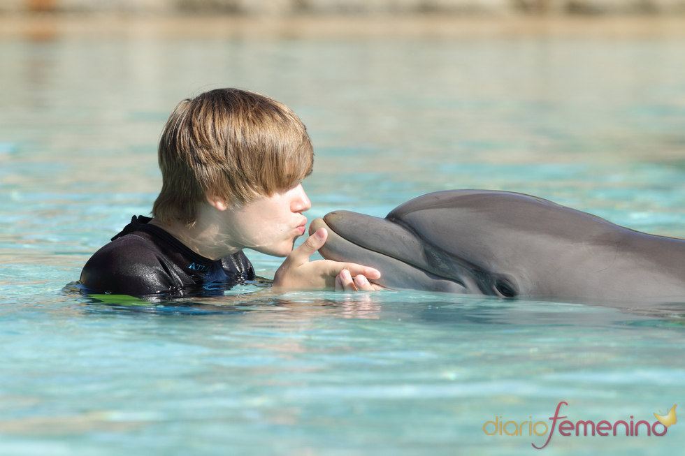 Justin Bieber besa a un delfín
