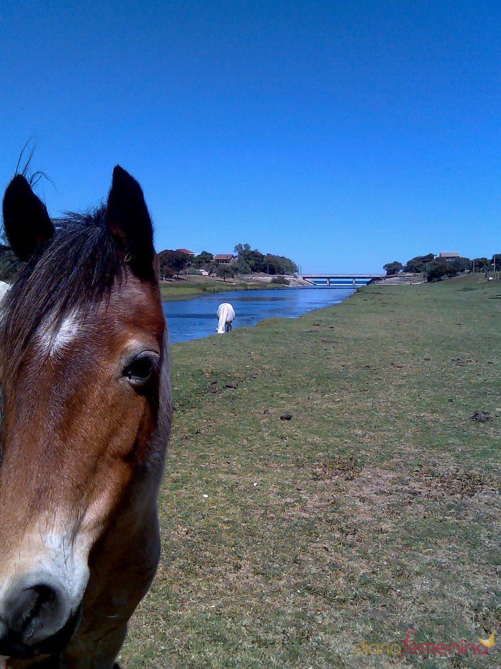 Montar a caballo en el Alentejo portugués