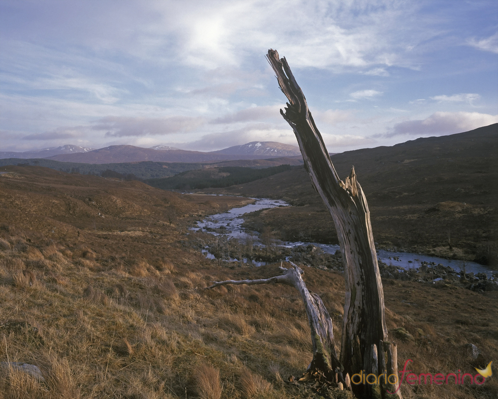 Paisaje de Moorland, Escocia