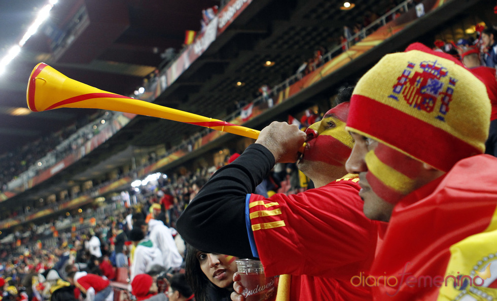 Españoles celebran en Sudáfrica el pase a la semifinal