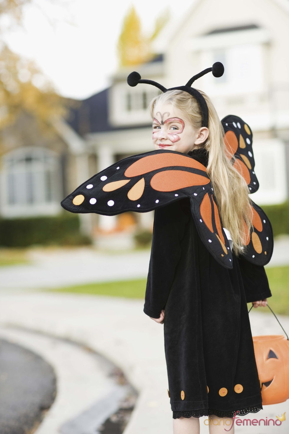 Las mariposas también tienen su lugar en la noche de las brujas