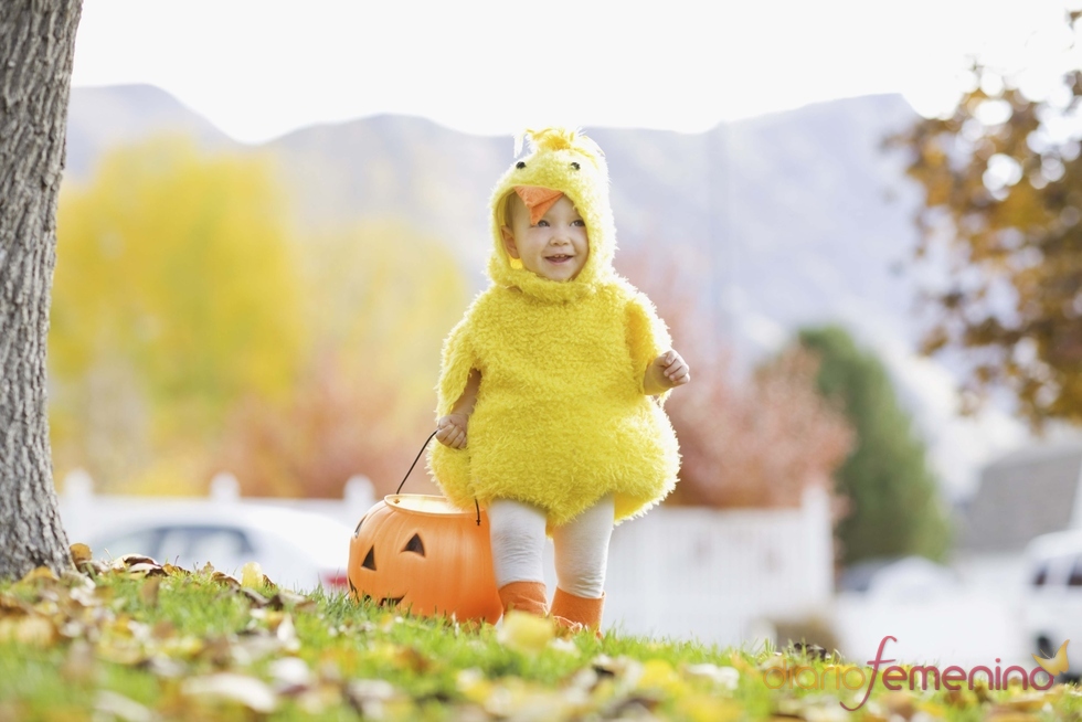 Un disfraz de pollito para tu bebé en Halloween