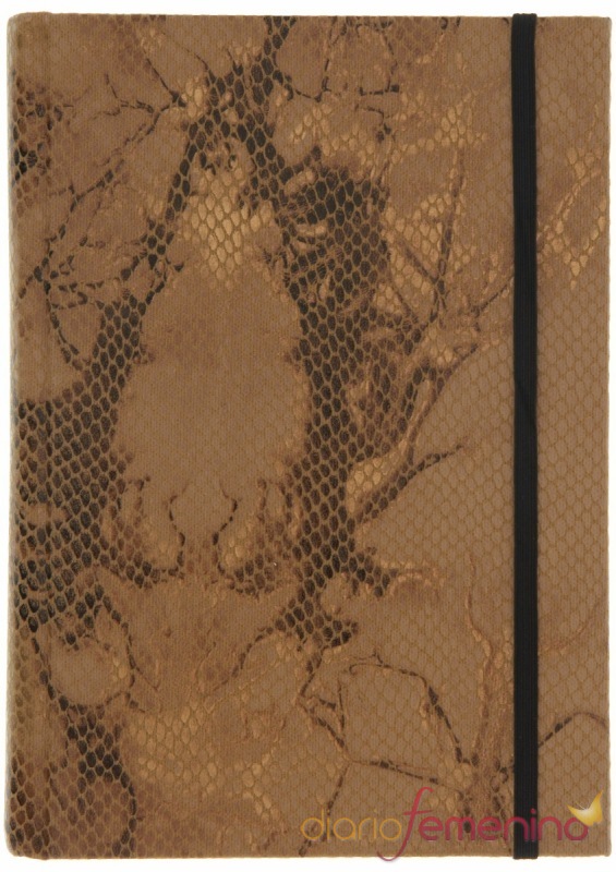 Agenda serpiente de TopShop