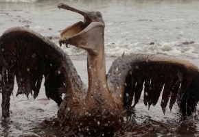 Los momentazos del año 2010