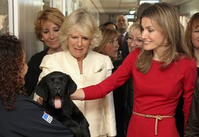 Los Reyes y los Príncipes acompañan al Príncipe Carlos y Camilla en su visita a España