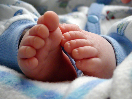 bajamaternal baja_maternal