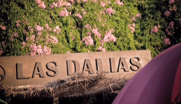 El Mercadillo de Las Dalias en Madrid